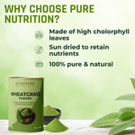 Pure Nutrition Wheatgrass Powder, 100g | Supports Detoxification & Alkalinity | Contains chlorophyll & antioxidants | Energy Booster | Packed with 17 amino acids