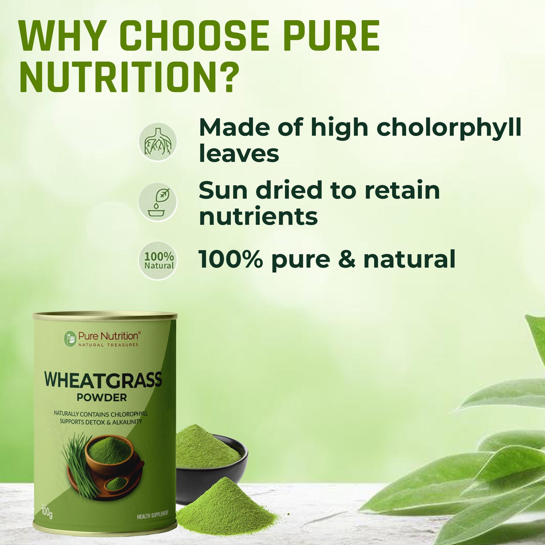 Pure Nutrition Wheatgrass Powder, 100g | Supports Detoxification & Alkalinity | Contains chlorophyll & antioxidants | Energy Booster | Packed with 17 amino acids