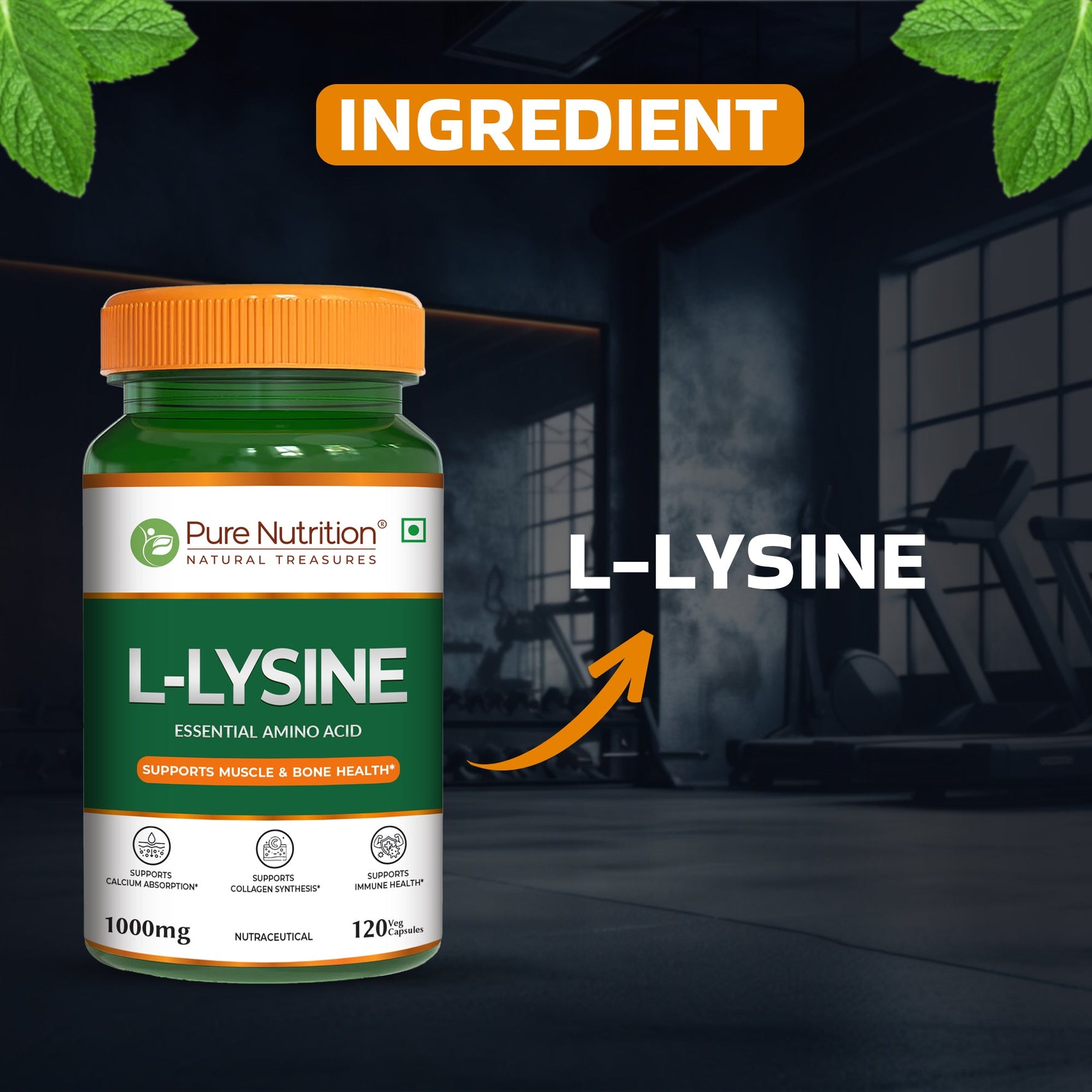 Pure Nutrition L-Lysine 1000mg – 120 Veg Capsules | Essential Amino Acid Supplement | Supports Muscle & Bone Health, Calcium Absorption & Collagen Synthesis