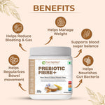 Pure Nutrition Prebiotic Fibre Powder, 250g - Fiber Supplement with Natural Blend of 5 Prebiotic Fibers for Digestive Health, Supports Bowel Regularity & Gut Microbiome | Zero Sugar & Zero Fat