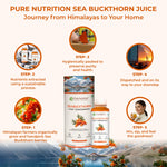 Pure Nutrition Seabuckthorn Pulp Concentrate 300ml | Rich in Omega Fatty Acids (3,6,7 & 9), Vitamins & Antioxidants | Supports Immunity, Heart & Digestive Health | Promotes Skin,Cellular Health & Overall Wellness