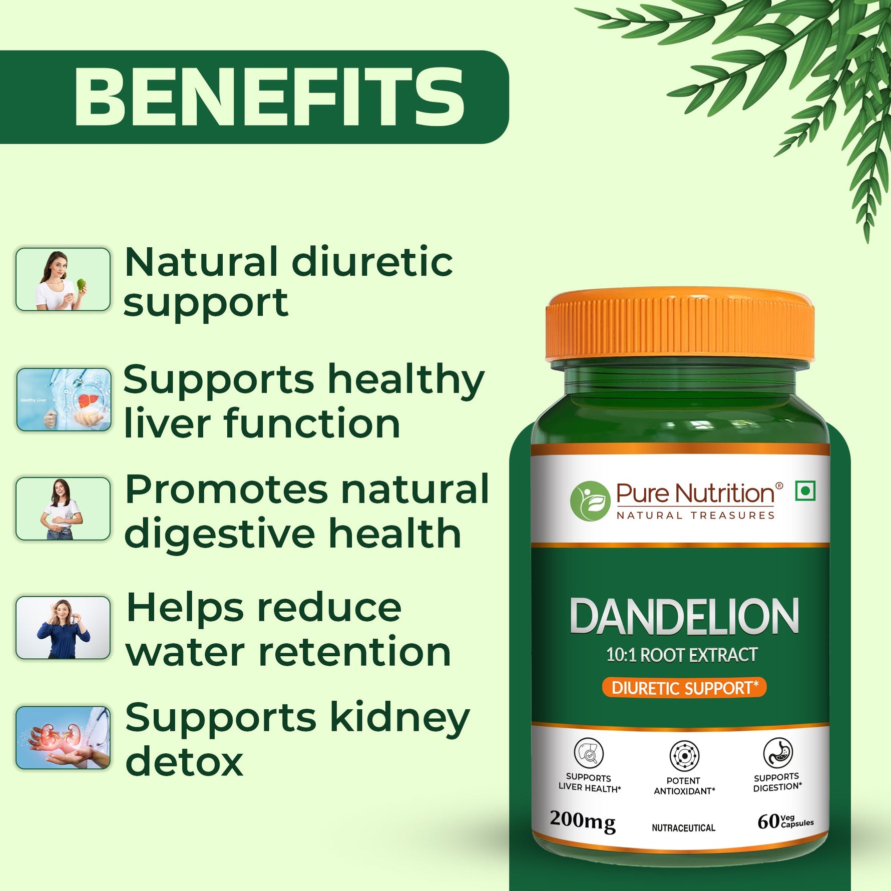 Pure Nutrition Dandelion Root Extract (200mg)- 60 Veg Capsules | 10:1 Root Extract | Supports Liver Health, Digestion & Antioxidant Activity | Natural Diuretic Support