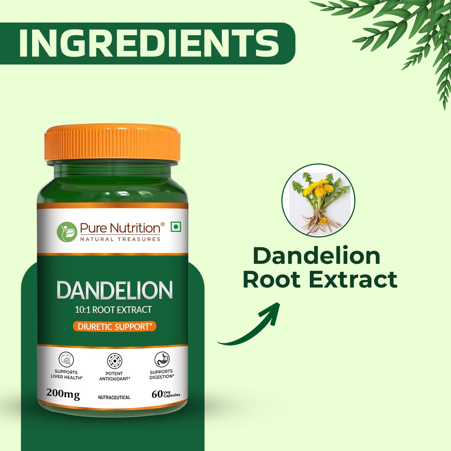 Pure Nutrition Dandelion Root Extract (200mg)- 60 Veg Capsules | 10:1 Root Extract | Supports Liver Health, Digestion & Antioxidant Activity | Natural Diuretic Support