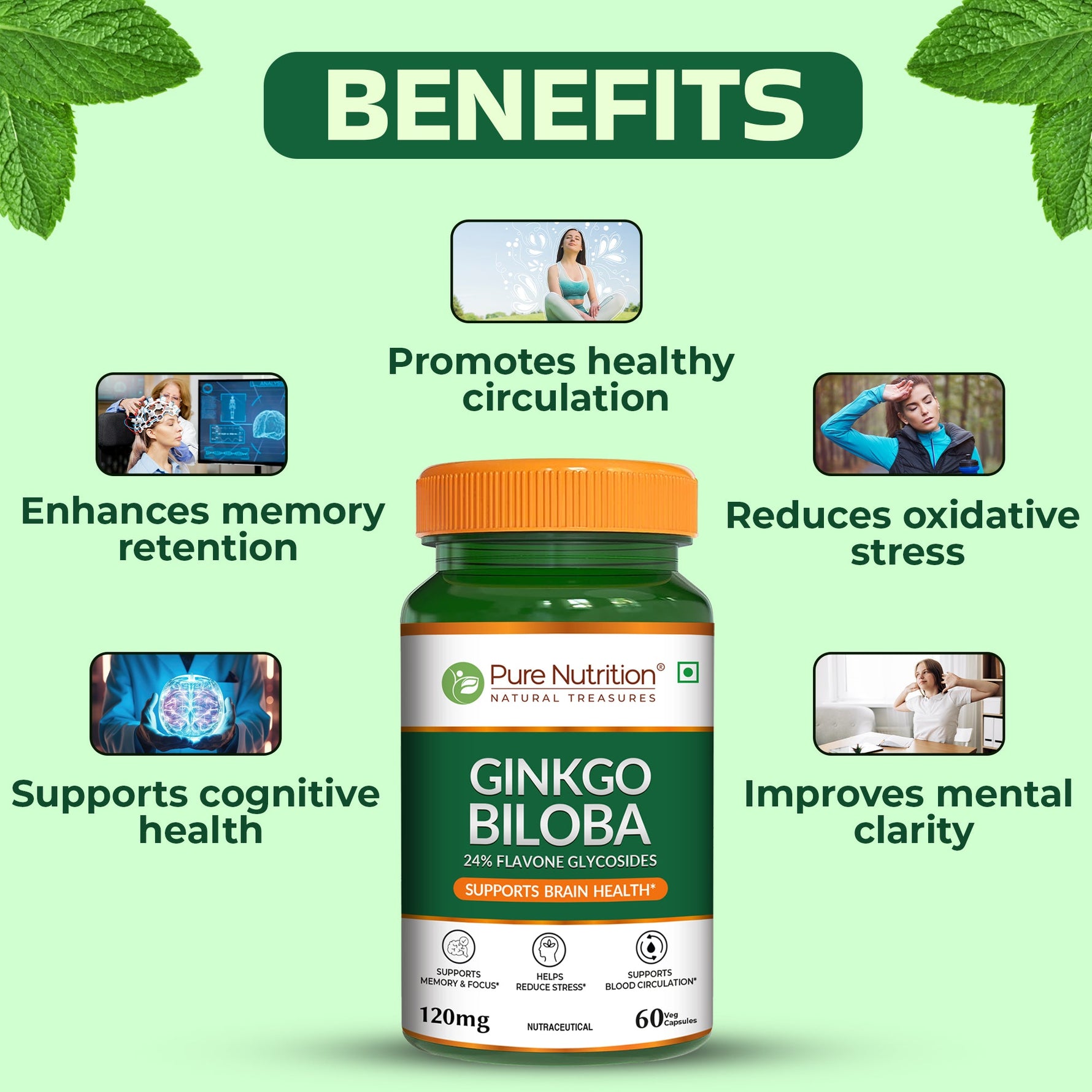 Pure Nutrition Ginkgo Biloba 120mg - 60 Veg Capsules | 24% Flavone Glycosides | Supports Memory, Better Concentration | Helps Reduce Stress & Improve Blood Circulation