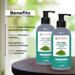 Pure Nutrition Tea Tree Anti-Dandruff Shampoo, 250ml | With Salicylic Acid | Sulphate & Paraben Free | Controls Flakes & Itch | Cleanses Scalp & Reduces Oiliness | Suitable for All Hair Types