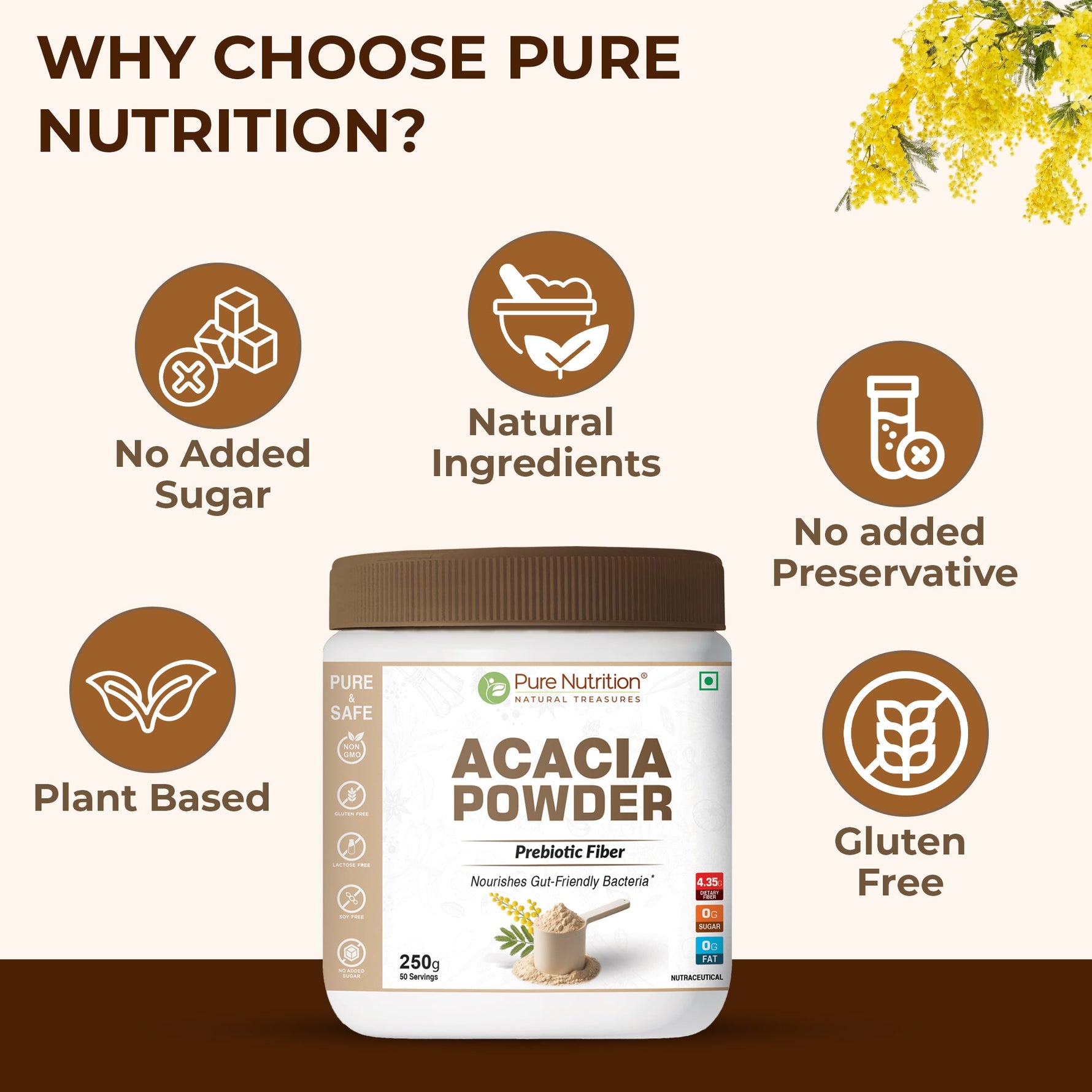 Pure Nutrition Acacia Powder 250gm | 100% Pure Acacia Gum | Prebiotic Fibre Supplement | Nourishes Gut Health | Improves Digestion