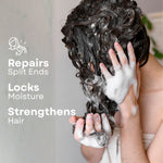 Pure Nutrition Argan Oil Damage Repair Shampoo 250ml | Sulphate & Paraben Free | With Aloe Vera & Sea Kelp | Moisturizing Shampoo for Dry, Damaged & Frizzy Hair