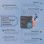 INJA Life Collagen Powder (Blueberry) - Dermal Resilience & Structural Integrity (7 Sachets)