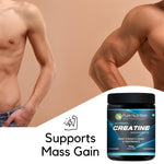 Pure Nutrition Micronised Creatine Monohydrate Powder, Pre/Post Workout Supplement, Instant Energy for Athletic Performance, Fast Recovery, Increased Muscle Mass, Unflavoured, 100g, 33 Servings