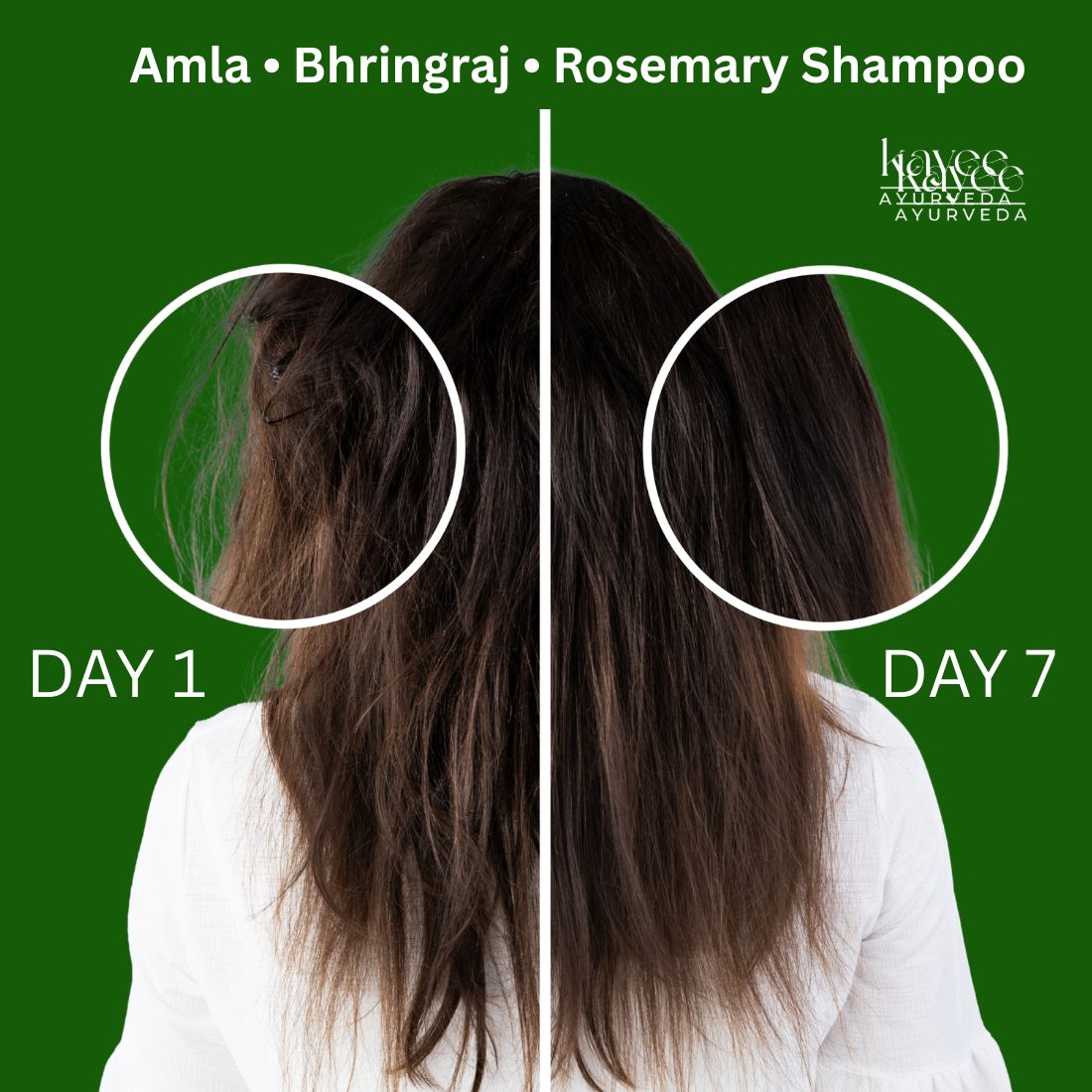 Kayee Ayurveda Amla Bhringraj Rosemary Shampoo for Men & Women | Herbal Hair Cleanser with Amla, Bhringraj & Rosemary | Helps Cleanse Scalp, Condition Hair, Improve Texture, Reduce Dryness & Maintain Healthy-Looking Hair | 210 ml