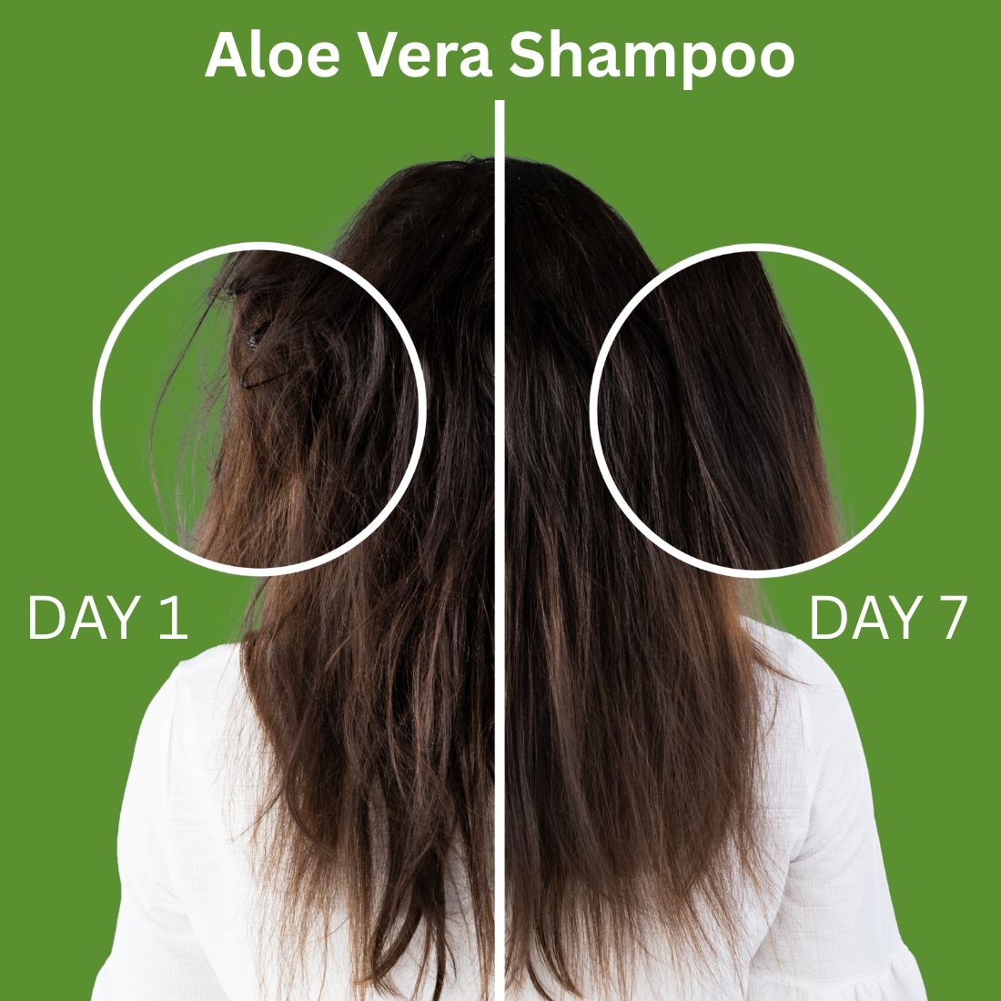 Kayee Ayurveda Aloe Vera Shampoo for Dry & Damaged Hair | Herbal Shampoo with Aloe Vera for Scalp Cleansing, Hair Nourishment, Moisturization, Softness, Smoothness & Healthy-Looking Shine | 210 ml
