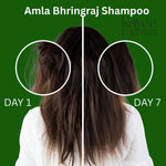 Kayee Ayurveda Amla Bhringraj Shampoo for Hair Growth & Hair Fall Care | Herbal Ayurvedic Shampoo with Amla & Bhringraj for Scalp Cleansing, Hair Nourishment, Strength, Smoothness & Natural Shine | 210 ml
