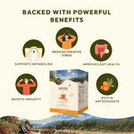 WellWith Sea Buckthorn Super Fruit Tea (20 Infusion Tea Bags, 2g Each)