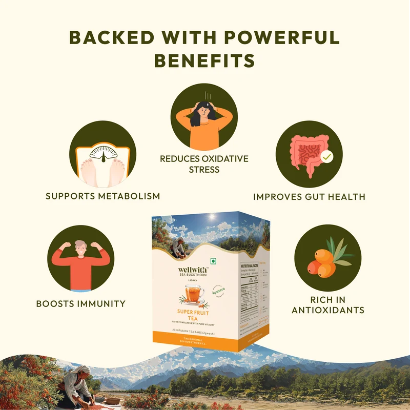 WellWith Sea Buckthorn Super Fruit Tea (20 Infusion Tea Bags, 2g Each)