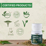 Cannarma Trailokya Vijaya Vati - 30 Tablets - 500mg
