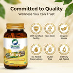 Organic Wellness Giloy Capsules - 90 Capsules