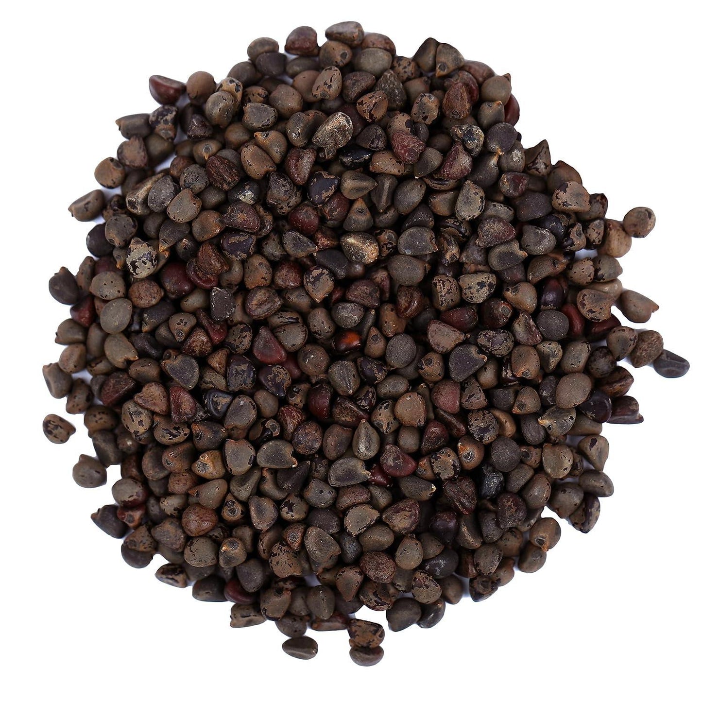 YUVIKA Beej Band Kala - Bala Beej - Sida Cordifolia