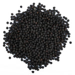 YUVIKA Beej Kateli - Satyanasi ke Beej - Kateri Seeds - Kantakari - Katehri Beej