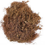 Yuvika Afteeyun Cuscuta Reflexa - Aftiun - Afttimoon - Amar Bel - Aakash Bel - Dodder