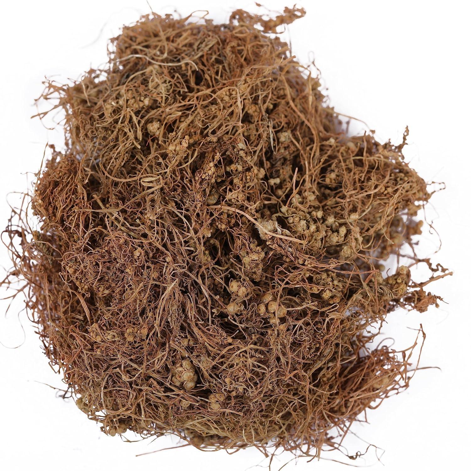 Yuvika Afteeyun Cuscuta Reflexa - Aftiun - Afttimoon - Amar Bel - Aakash Bel - Dodder