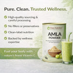 Pure Nutrition Natural Amla Powder – Indian Gooseberry Powder for Hair, Skin & Wellness Care – 100g