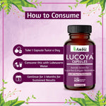 Ambic Lucoya Vegetarian Capsule for Leucorrhoea & Women’s Health (60 Each)