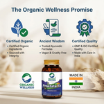 Organic Wellness Prostate-Fit Capsules - 90 Capsules