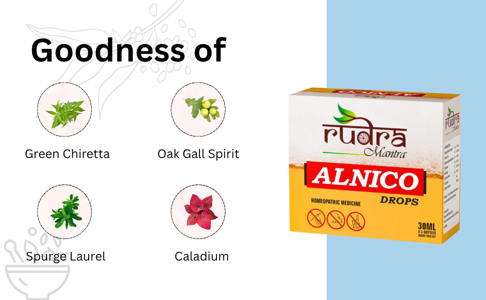 Rudra Mantra Alnico Drops - 30 ML x3 Bottles inside This Kit