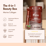 Wishnew Wellness Beauty Collagen Complex Sachet - Coffee - (10gm Each)