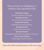 India Hemp Organics Hemp Protein Powder - Chocolate Hazelnut