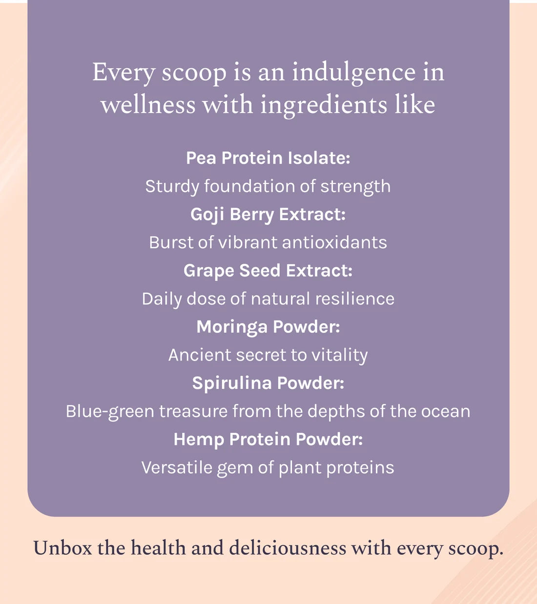 India Hemp Organics Hemp Protein Powder - Chocolate Hazelnut