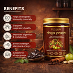 Divyashri Wellness Immunity Boost Chyawanprash | Sugar-Free Chyawanprash | Best Ayurvedic Chyawanprash – Divya Prash