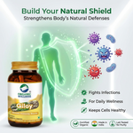 Organic Wellness Fat-Fit Capsules - 90 Capsules