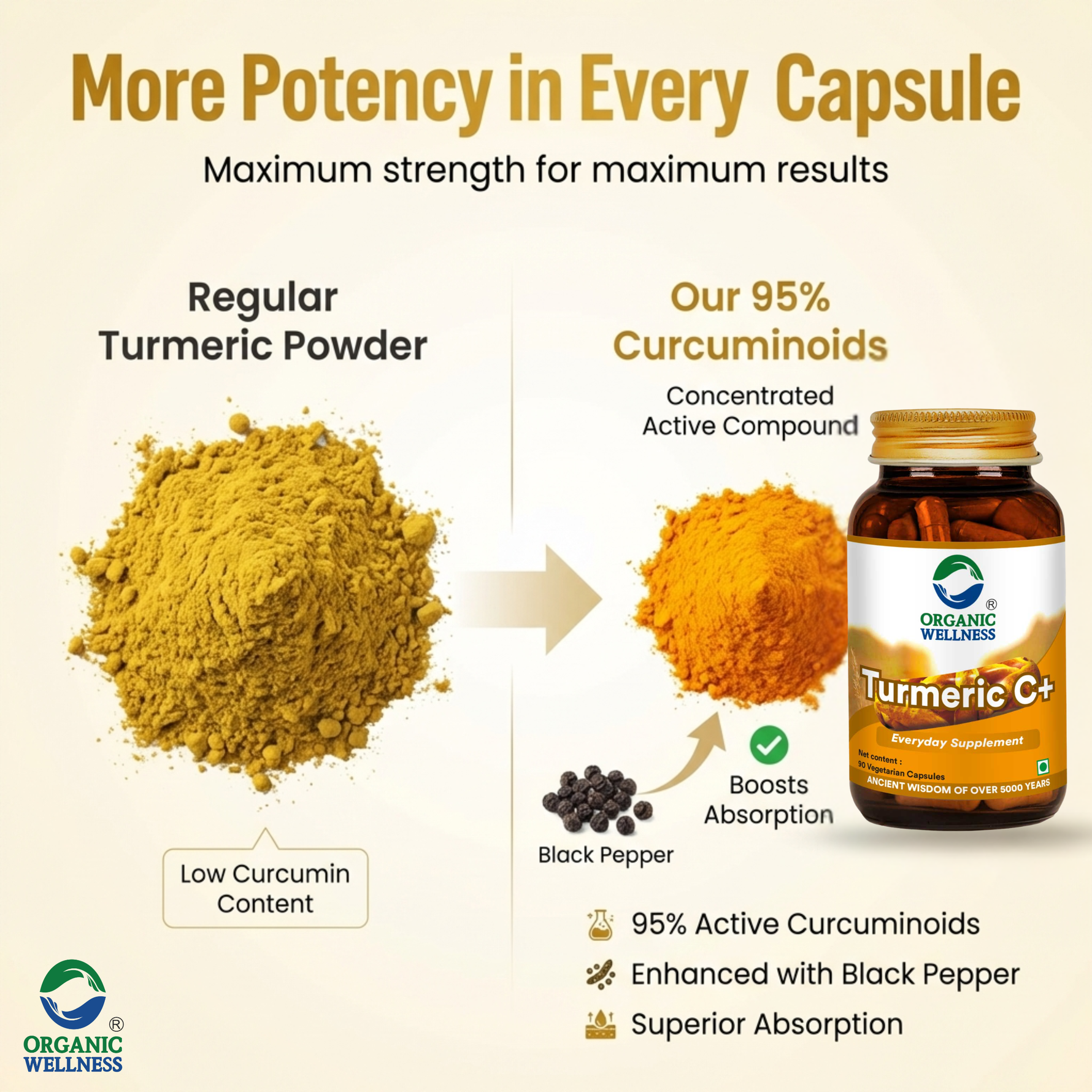 Organic Wellness Turmeric Curcumin Capsules -  90 Veg Capsules