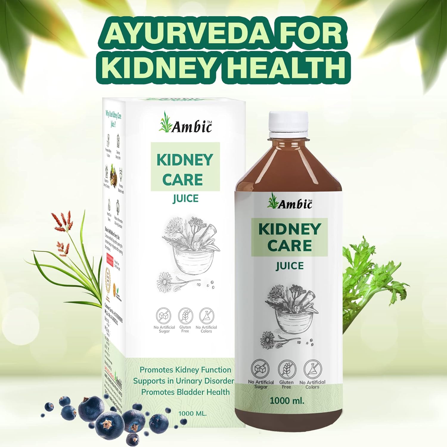 AMBIC Kidney Care Juice for Healthy Bladder Function I Helps with Kidney Stones & UTI