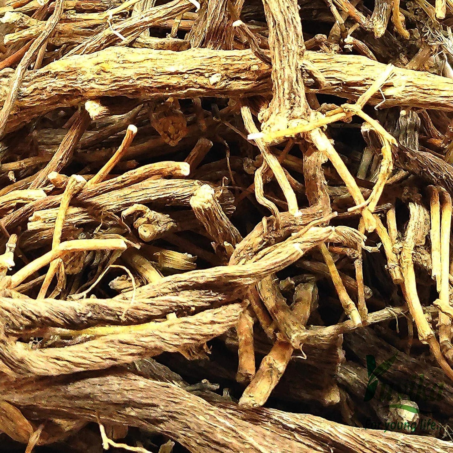 YUVIKA Bojidaan - Bojidan - Tanacetum umbelliferum - Pyrethrum Indicum - Senega Roots