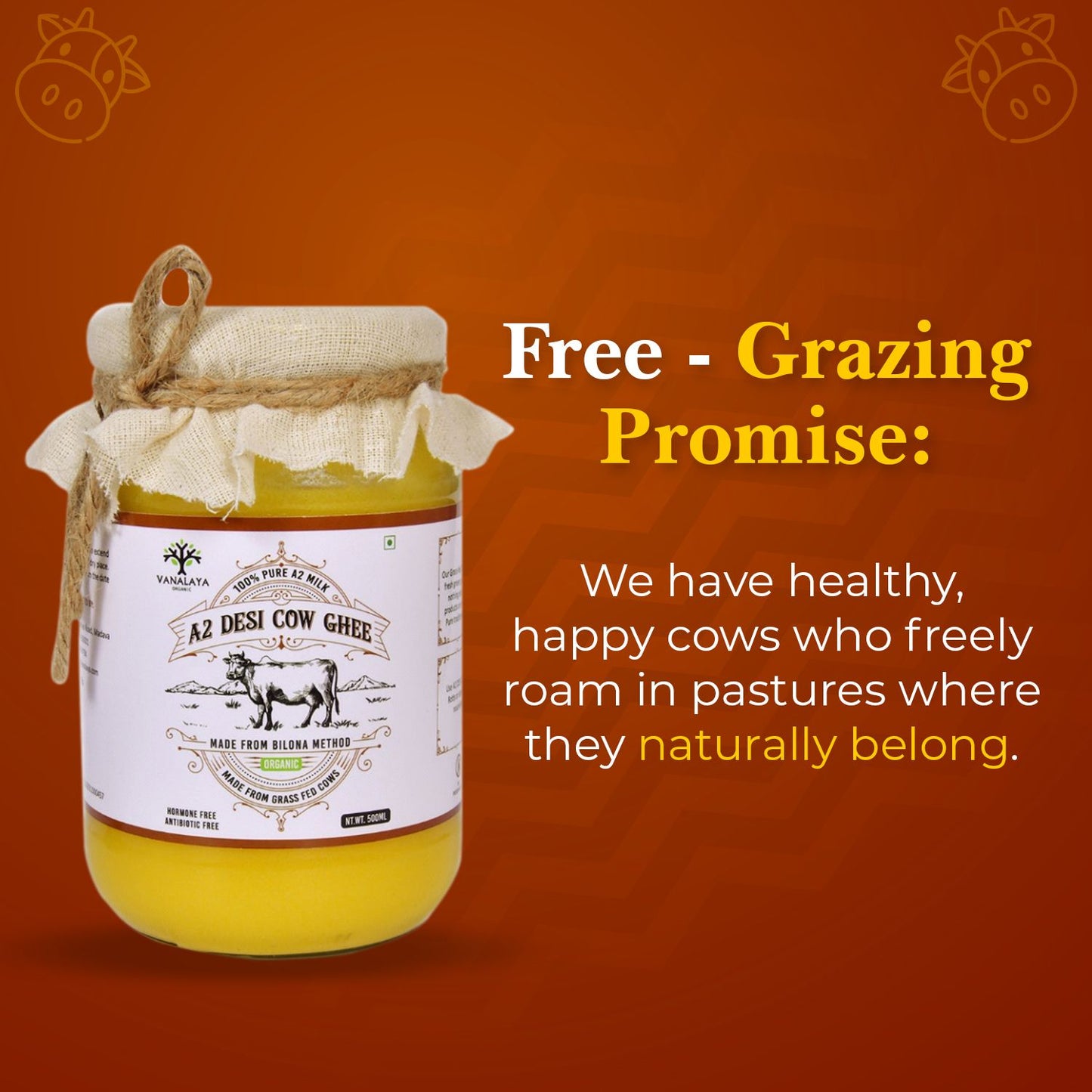 Vanalaya A2 Desi Cow Ghee from A2 Milk Prepared by Traditional Bilona Method - 500ml
