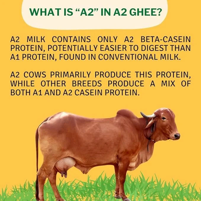 Just Organik Cow Desi Ghee (A2)-200ML