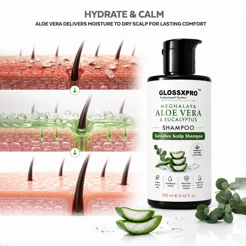 GLOSSXPRO Professional System Meghalaya Aloe Vera & Eucalyptus Shampoo