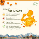 WellWith Sea Buckthorn Antioxidant (AO) Shot