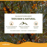 WellWith Sea Buckthorn Antioxidant (AO) Shot