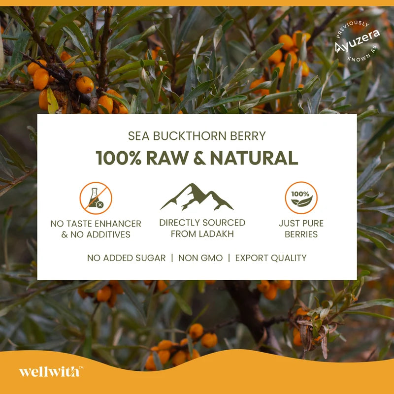 WellWith Sea Buckthorn Antioxidant (AO) Shot
