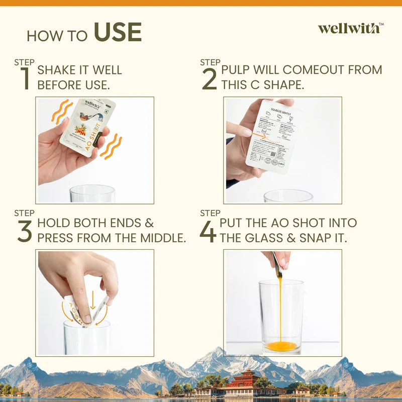 WellWith Sea Buckthorn Antioxidant (AO) Shot