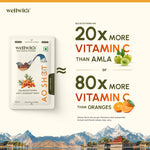 WellWith Sea Buckthorn Antioxidant (AO) Shot
