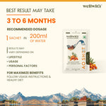 WellWith Sea Buckthorn Antioxidant (AO) Shot