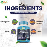 Shrichitt Ayurveda Asthi Nirog Capsules -  60 Capsules