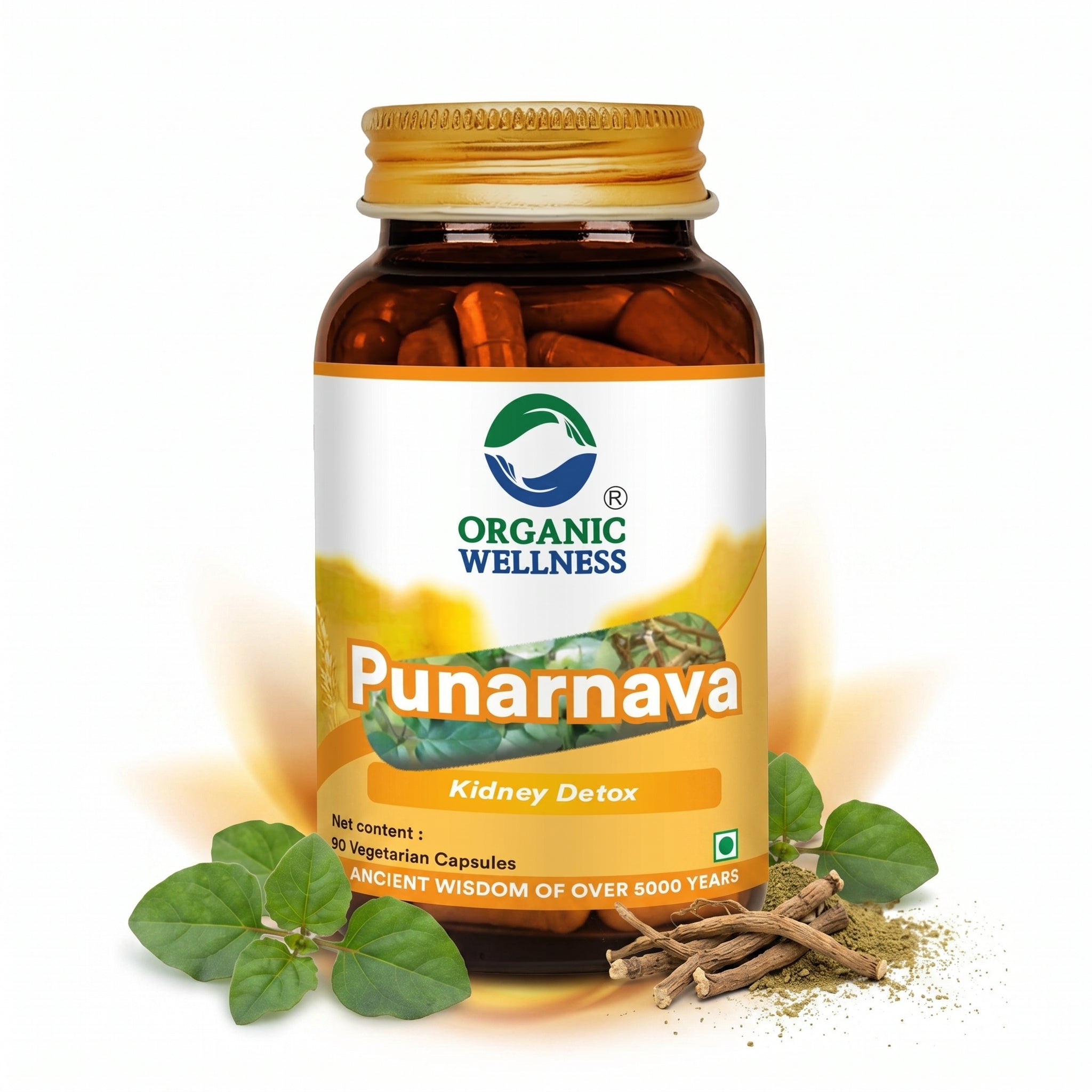 Organic Wellness Punarnava Capsules -  90 Capsules