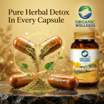 Organic Wellness Punarnava Capsules -  90 Capsules