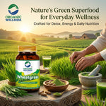 Organic Wellness Wheat Grass Capsules -  90 Capsules Bottle
