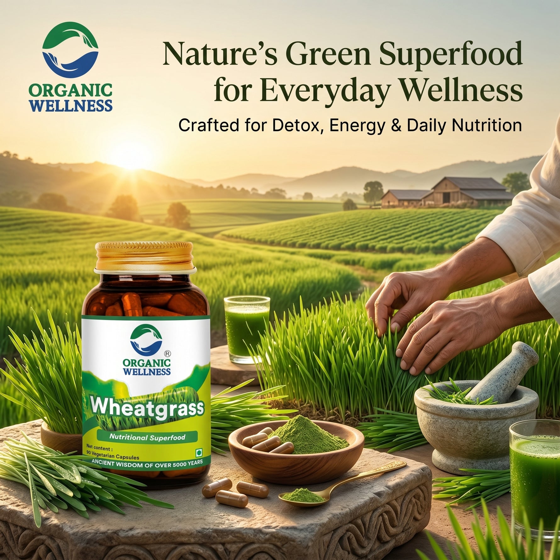 Organic Wellness Wheat Grass Capsules -  90 Capsules Bottle